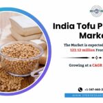 India Tofu Products Market