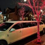 Limo Christmas Lights Tour