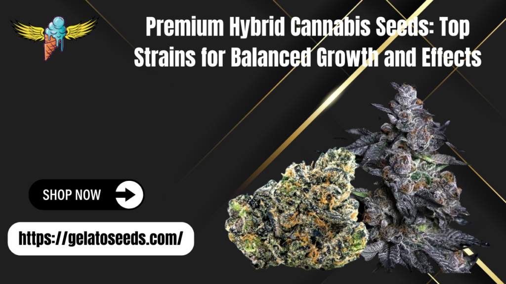 hybrid cannabis seeds