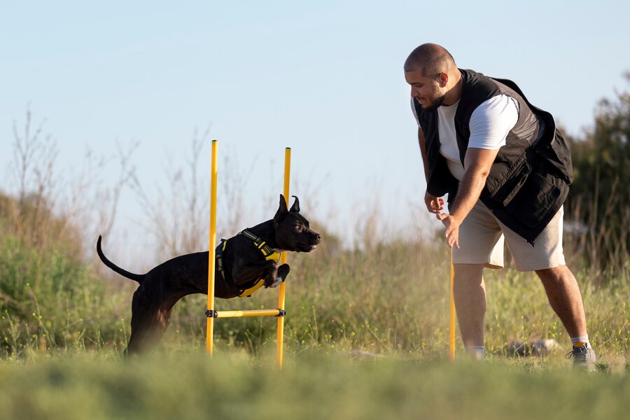 The Role of Consistency in Dog Training Why Repetition Is Key