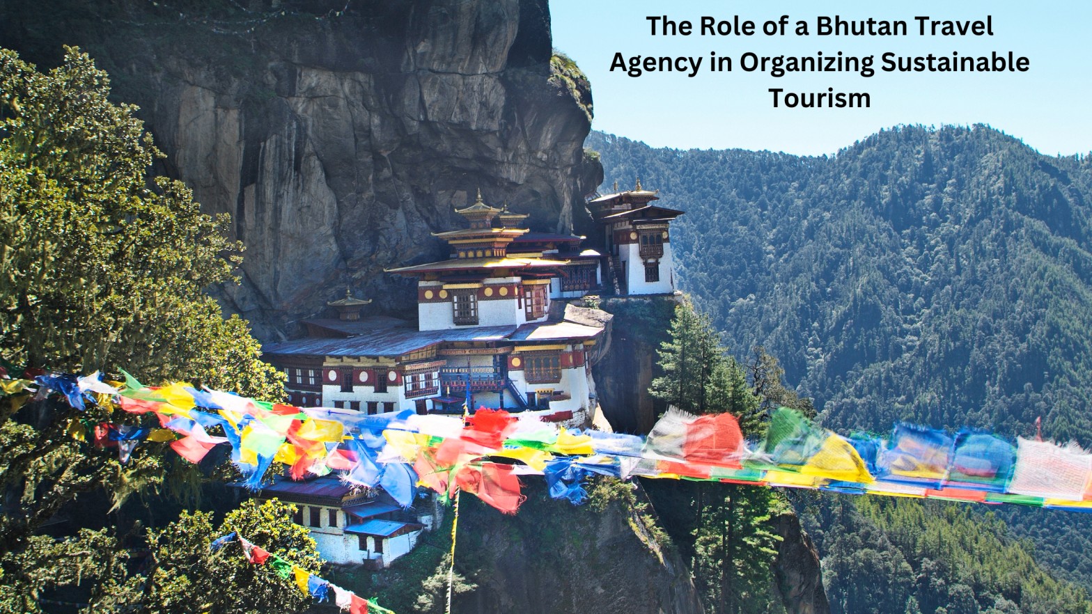 The Role of a Bhutan Travel Agency in Organizing Sustainable Tourism