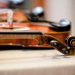 Why Choose a Specialist for Violin Restoration