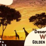 Desert Safari With Golden Triangle