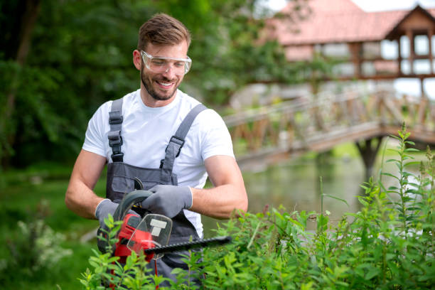 "Professional garden maintenance team transforming an outdoor space with lush greenery, vibrant flowers, and well-maintained landscaping features."