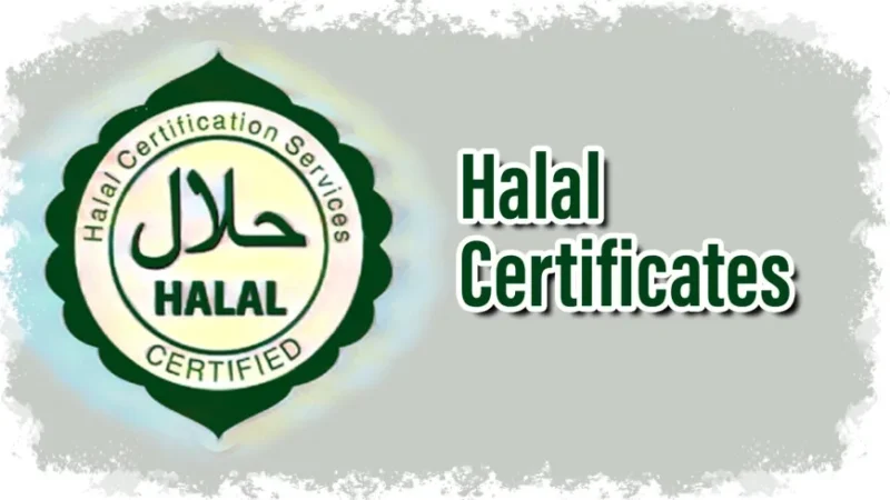 UK Halal Certification Authorities: A Guide to Ensuring Halal Standards