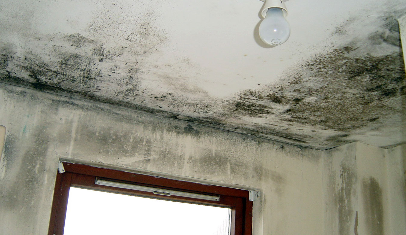 Effective Condensation Control Andover: Expert Solutions from Insite Southern