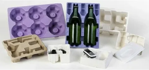 Key Market Players and Competitive Landscape in Transfer Molded Pulp Packaging