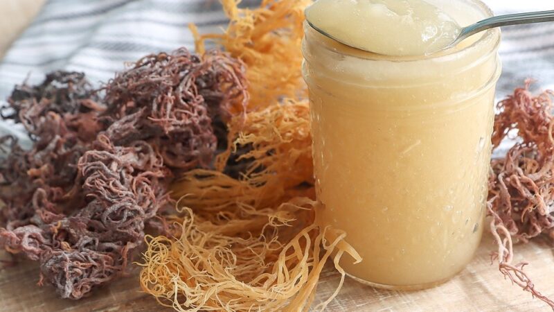 Sea Moss Gel: A Natural Solution for Health-Conscious Consumers