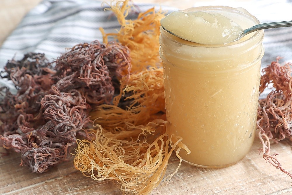 Sea Moss Gel: A Natural Solution for Health-Conscious Consumers