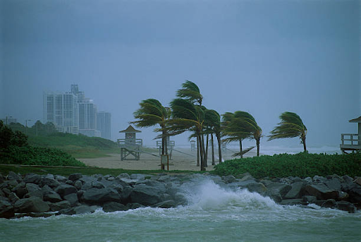 Understanding Hurricane Damage and Recovery