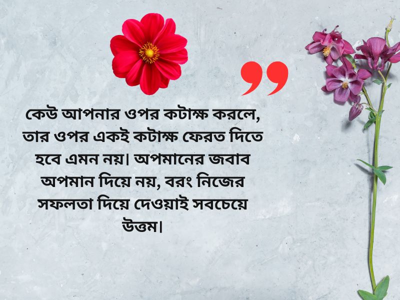 অনূভুতি নিয়ে ক্যাপশন: মন ছুঁয়ে যাওয়া কথায় আবেগের প্রকাশ