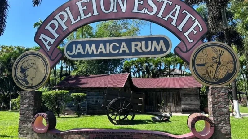 Appleton Estate Rum Tour, St. Elizabeth: A Journey into Jamaica’s Rich Rum Heritage