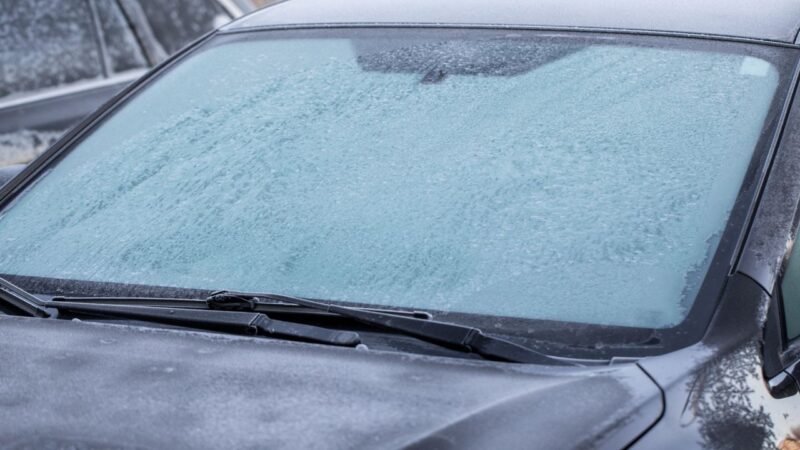 What to Do If Your Windshield Gets Damaged While Driving