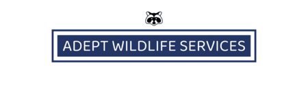 Adept Wildlife Services – Expert in Pest Control and Rodent Removal in Delray Beach, FL