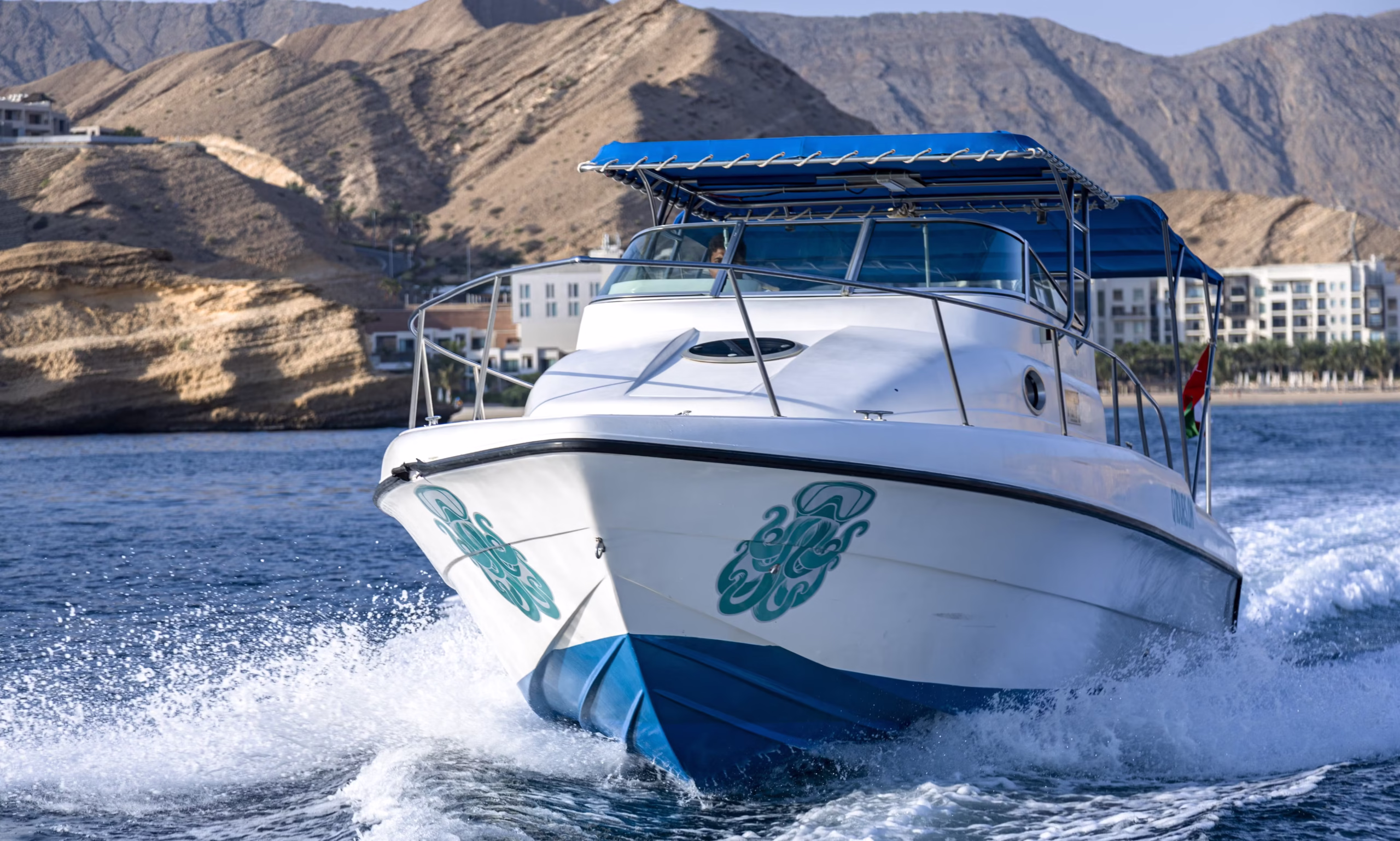 How Can I Find Reputable Boat Rental Services Near Me?