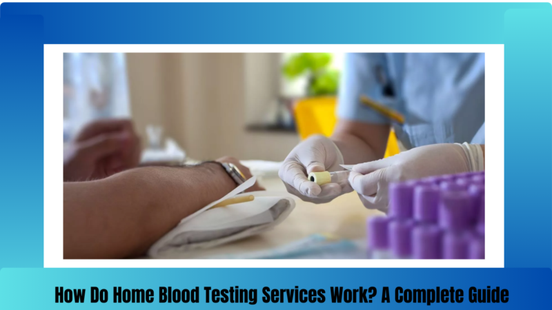 How Do Home Blood Testing Services Work? A Complete Guide