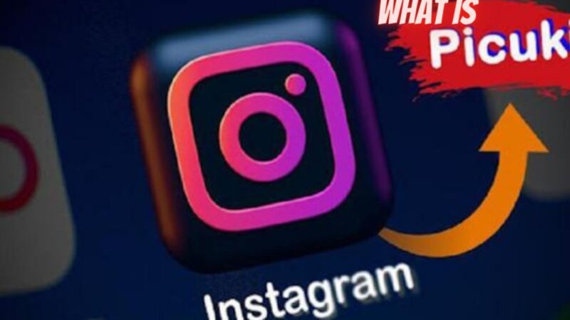 Instagram Viewer Picuki: A Simple Guide to Using This Handy Tool