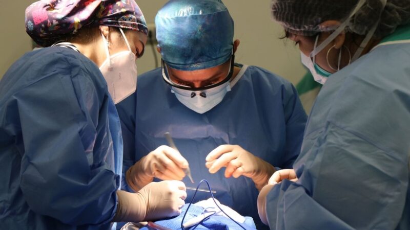 Key Characteristics of a Successful Recovery from Spine Surgery